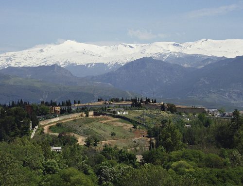 How TerraDat’s work is helping to monitor a key indicator of climate change